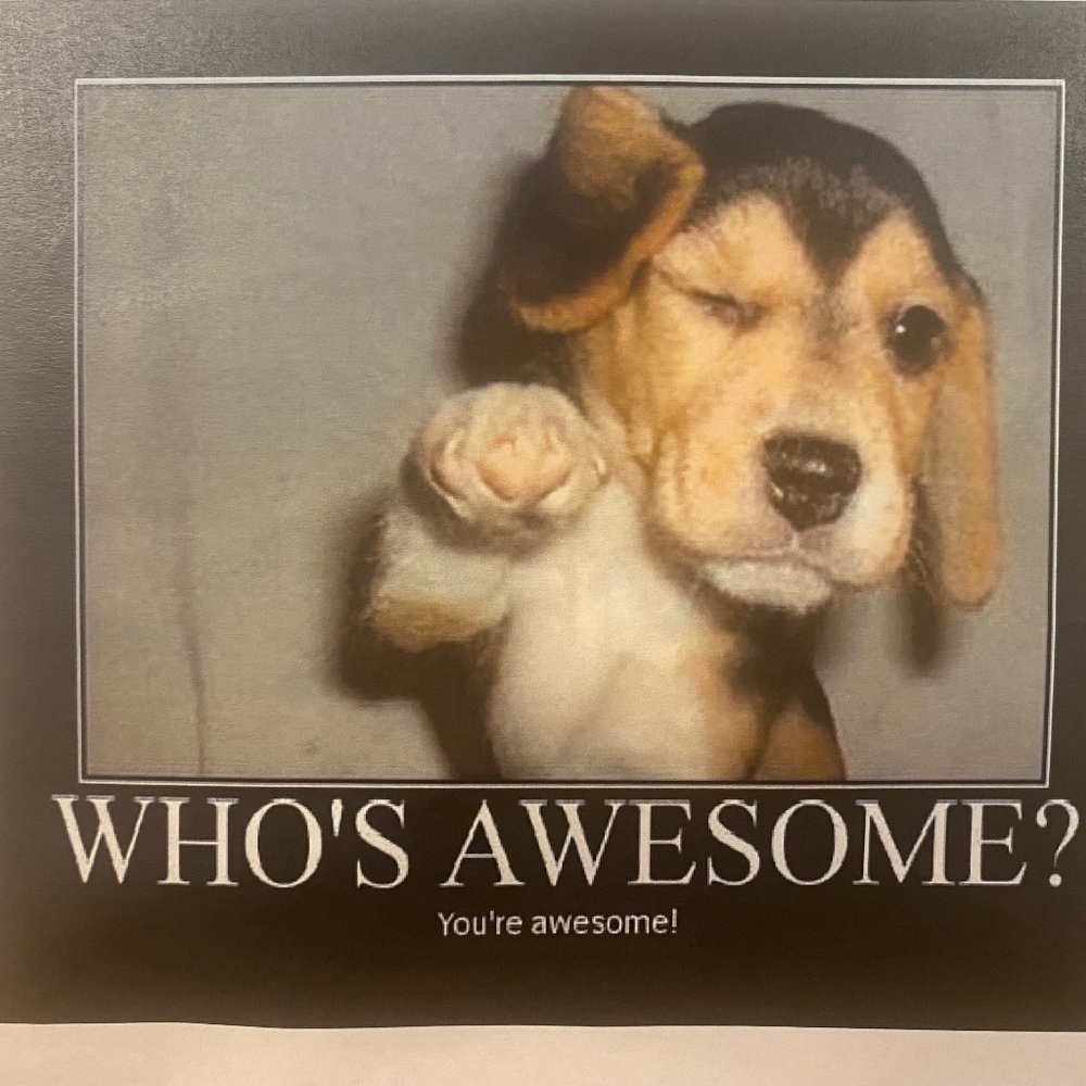 Meet your Posher, Betsy